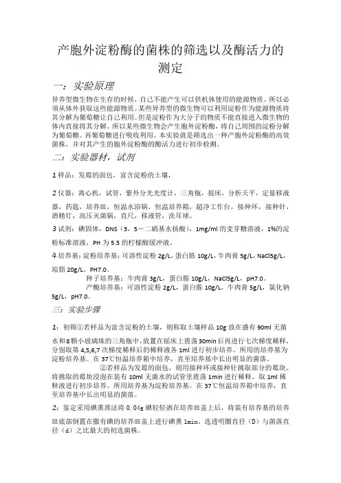 产淀粉酶菌种的筛选及酶活力检测