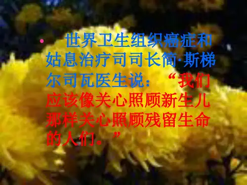 护理基础临终护理1