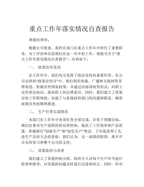 重点工作年落实情况自查报告