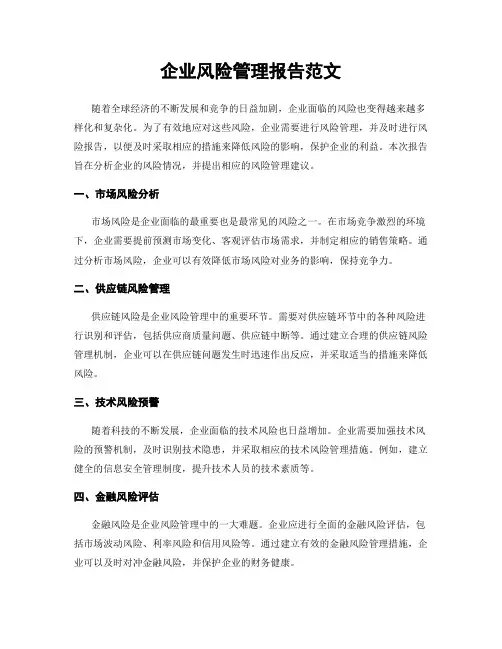 企业风险管理报告范文