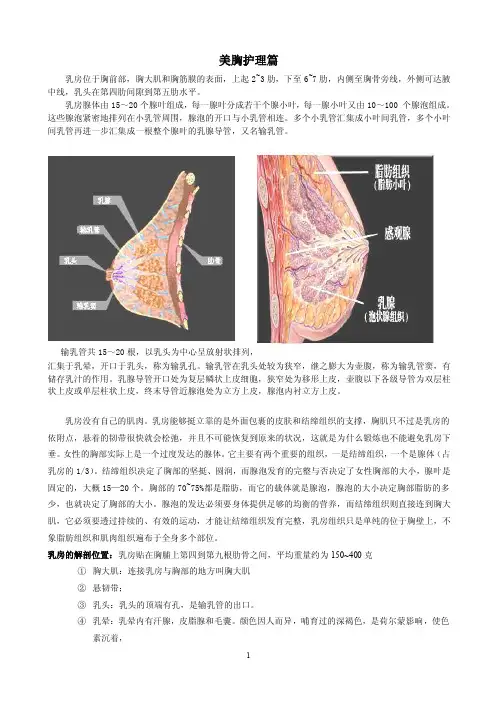 美胸护理篇——精选推荐