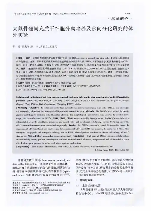 大鼠骨髓间充质干细胞分离培养及多向分化研究的体外实验
