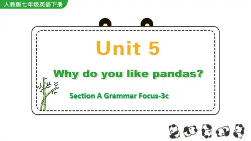 人教版七年级英语下册教学课件《Unit 5 Section A Grammar Focus-3c》