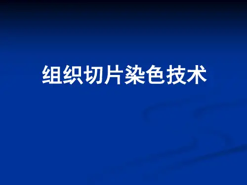 组织切片染色技术