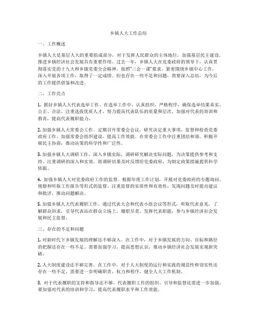 乡镇人大工作总结