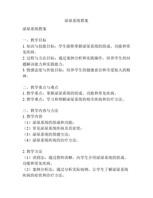 泌尿系统教案