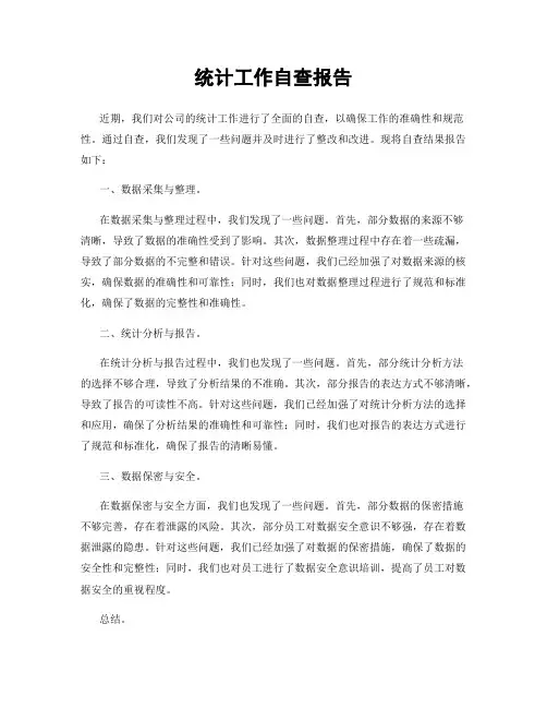 统计工作自查报告