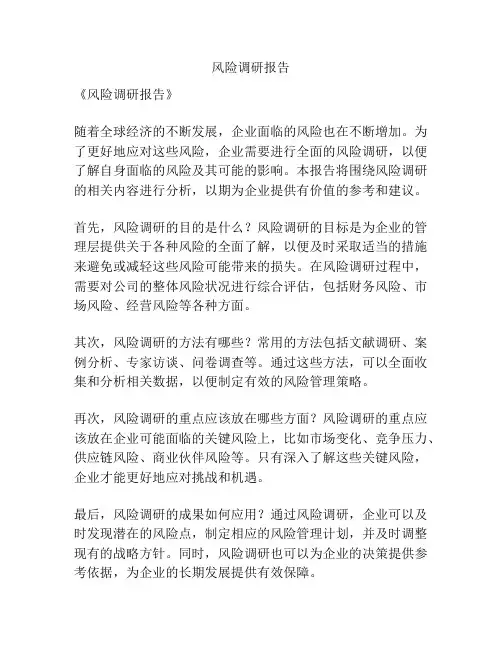 风险调研报告