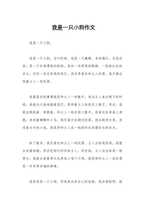 我是一只小狗作文