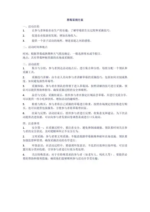 草莓采摘方案