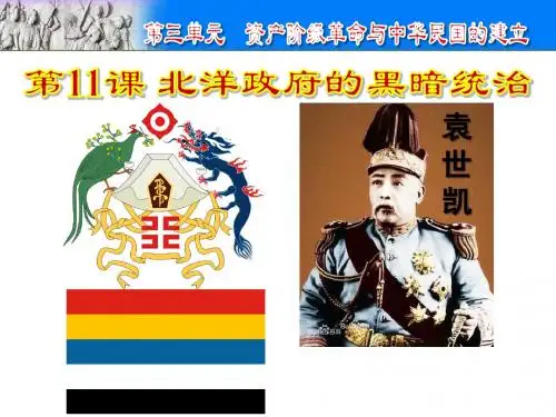 第11课  北洋政府的黑暗统治