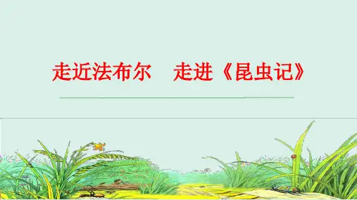 《昆虫记》推荐课说课