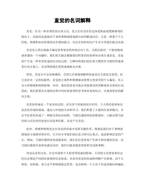 直觉的名词解释