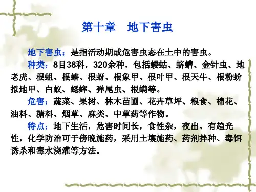 园艺昆虫学