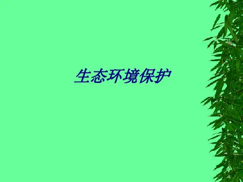 生态环境保护专题培训课件