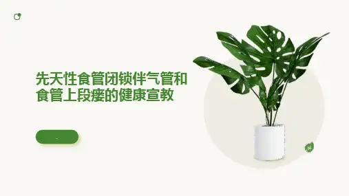 先天性食管闭锁伴气管和食管上段瘘的健康宣教