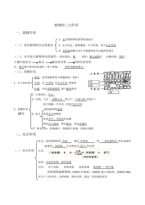 植物三大作用提纲(带答案)