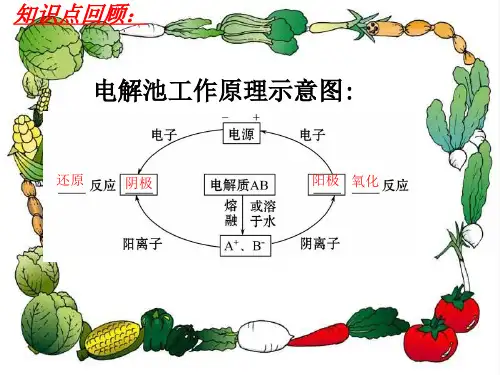 人教版高中化学选修4-化学反应原理：象限法理解电解池的放电顺序