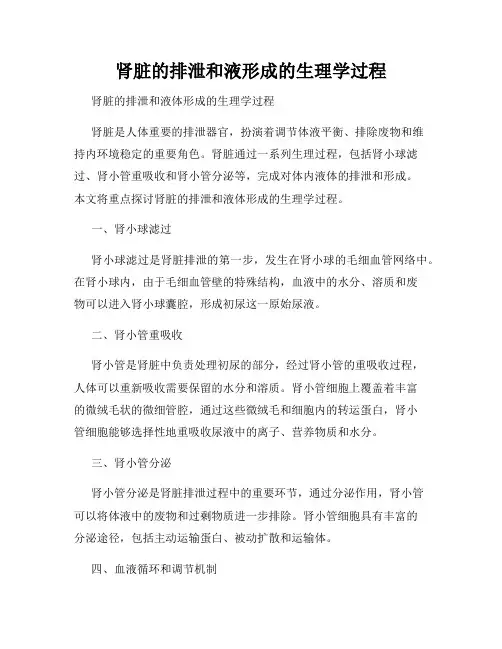 肾脏的排泄和液形成的生理学过程