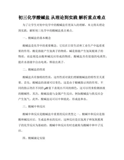 初三化学酸碱盐 从理论到实践 解析重点难点