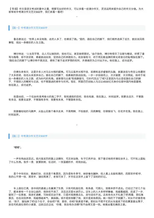 中考满分作文范文900字：在路上