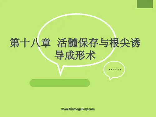 第十八章 活髓保存与根尖诱导成形术