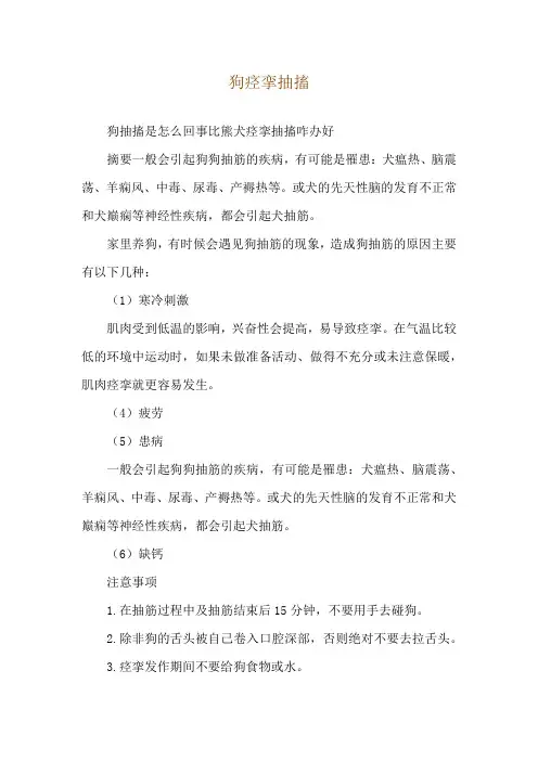 狗痉挛抽搐
