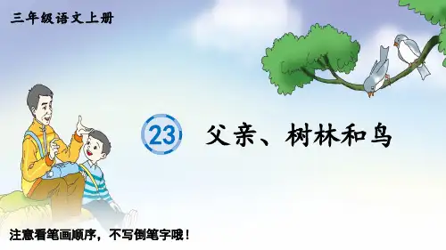 三年级语文上册23 父亲、树林和鸟课件