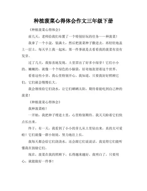 种植菠菜心得体会作文三年级下册