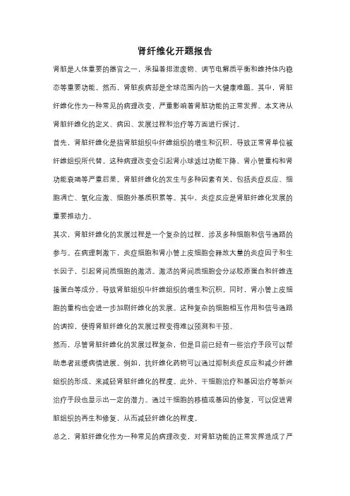 肾纤维化开题报告