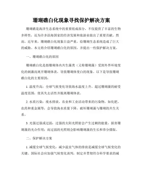 珊瑚礁白化现象寻找保护解决方案
