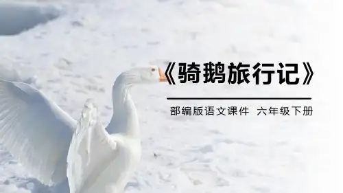 部编版六年级下册语文6.骑鹅旅行记课件(共19张PPT)