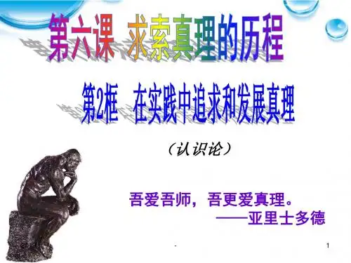 在实践中追求和发展真理ppt课件