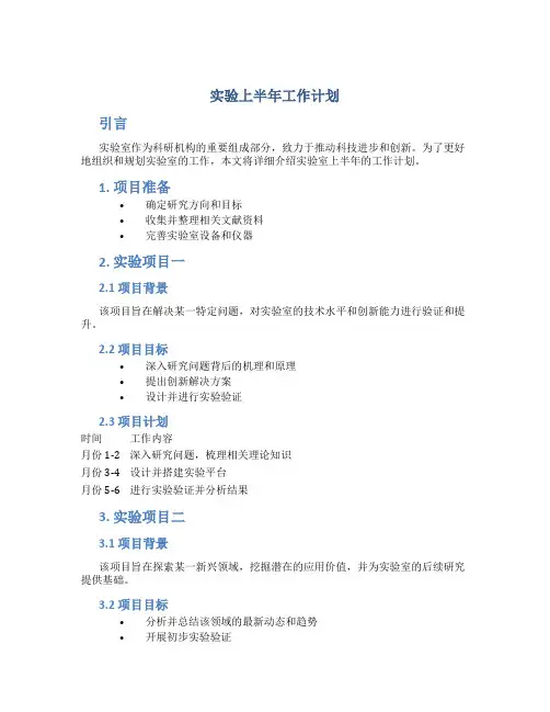 实验上半年工作计划