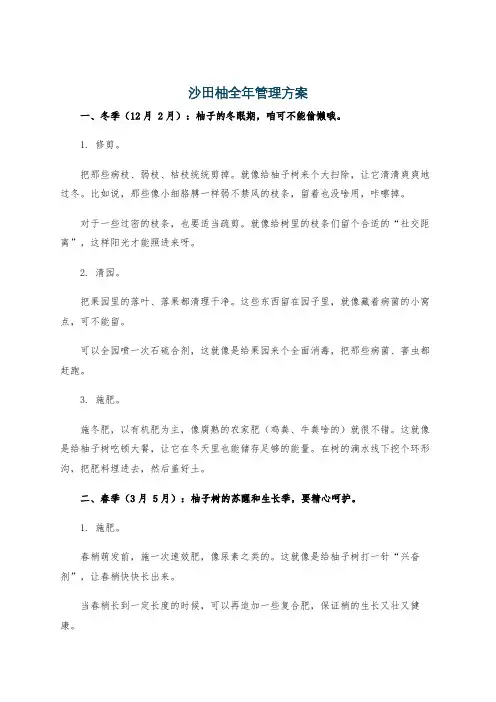 沙田柚全年管理方案