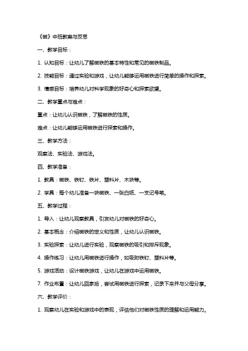 《磁》中班教案与反思