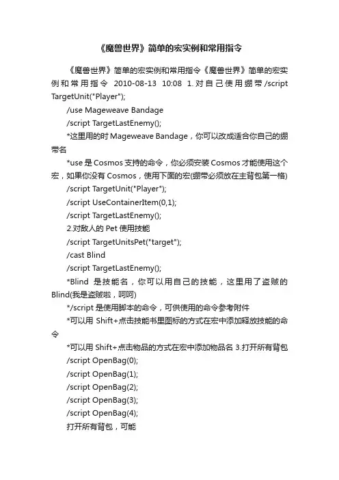 《魔兽世界》简单的宏实例和常用指令