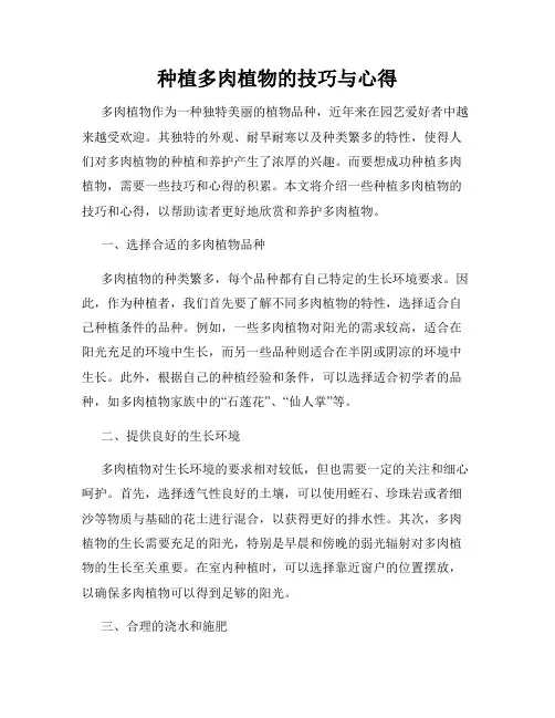 种植多肉植物的技巧与心得