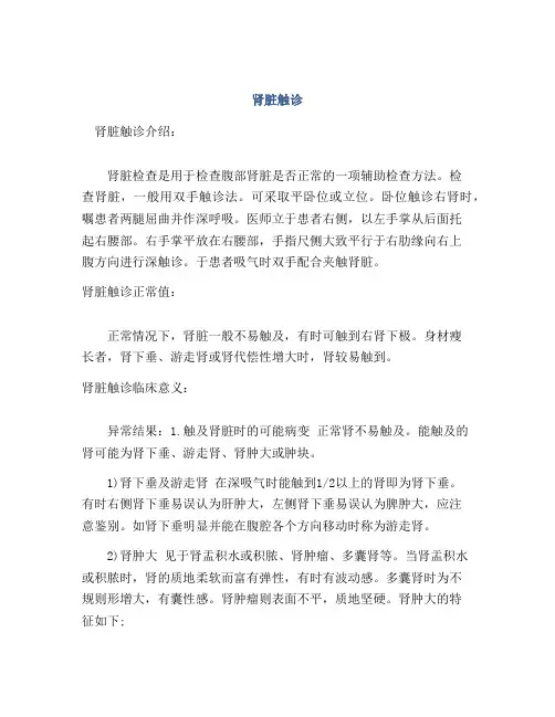 医学知识之肾脏触诊