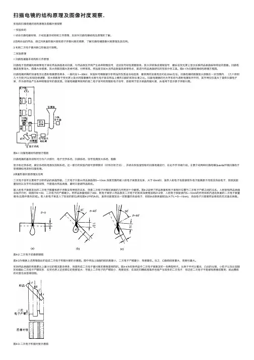 扫描电镜的结构原理及图像衬度观察.