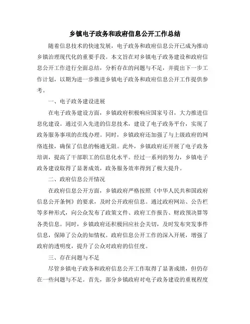 乡镇电子政务和政府信息公开工作总结
