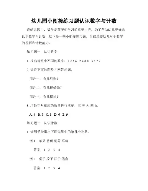 幼儿园小衔接练习题认识数字与计数