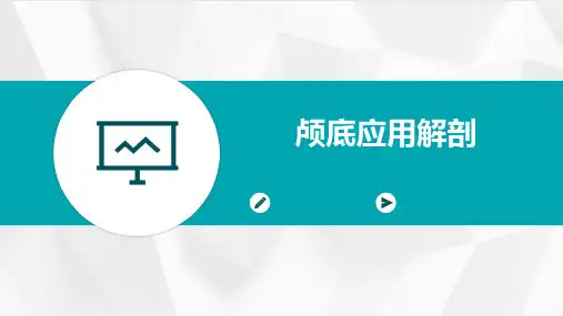 颅底应用解剖