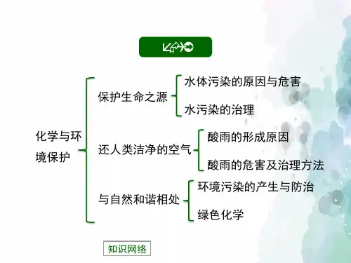 鲁教版化学九年级《化学与环境保护》复习课件