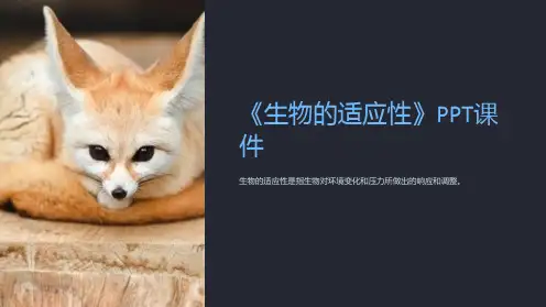 《生物的适应性》课件