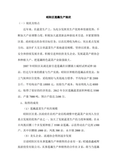 昭阳区莲藕生产现状