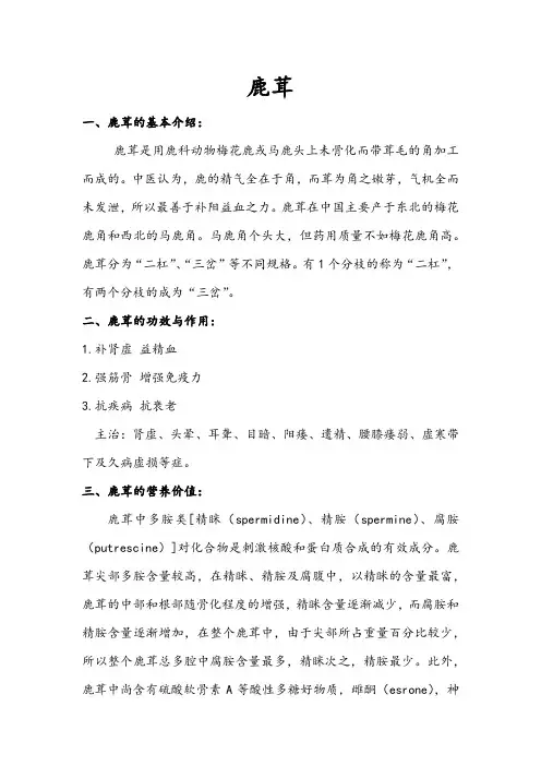 鹿茸