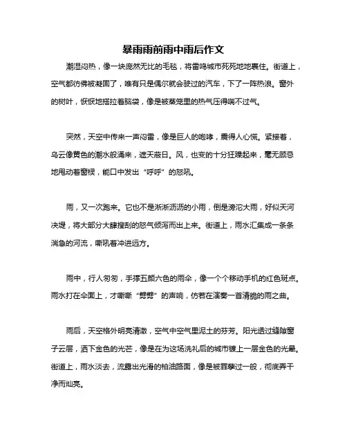 暴雨雨前雨中雨后作文