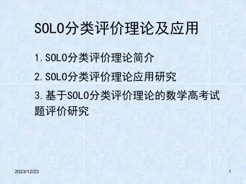 SOLO分类评价理论及应用解析课件