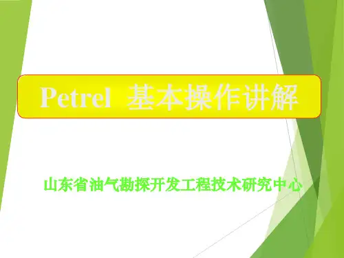 petrel软件详细教程
